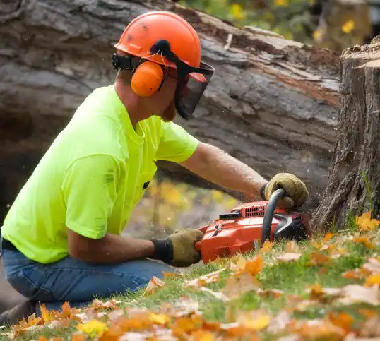 tree services Sandyfield